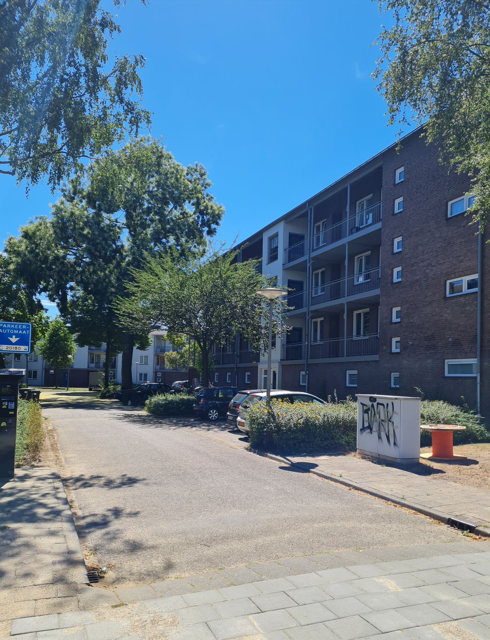 WhatsApp Image 2024-04-24 at 23.28.28.jpeg